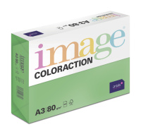 Antalis Papír Image Coloraction Dublin - tmavě zelená (DG47) A3 (80g/500ks)