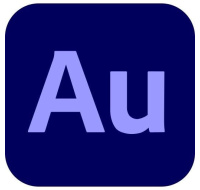 Audition for teams MP ML Government 1 User, 12 Months, Level 2, 10 - 49 Lic