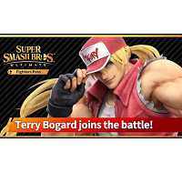 Super Smash Bros. Ultimate: Terry Bogard Challenger Pack 4 (Switch) Digital