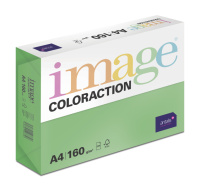 Antalis Papír Image Coloraction Dublin - tmavě zelená (DG47) A4 (160g/250ks)