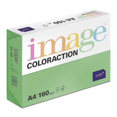 Antalis Papír Image Coloraction Dublin - tmavě zelená (DG47) A4 (160g/250ks)