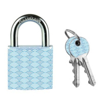 Master Lock Visací zámek z pevného hliníku 3430EURDWAVE - 30mm