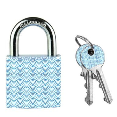 Master Lock Visací zámek z pevného hliníku 3430EURDWAVE - 30mm