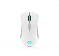 Lenovo Legion M600 Wireless Gaming Mouse (Stingray)