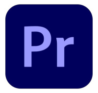 Premiere Pro for teams MP ML Commercial 1 User, 12 Months, Level 4, 100+ Lic