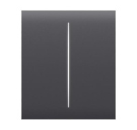 Ajax  CenterButton (2-gang) - Středové dvou tlačítko, grafitová