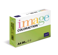Antalis Papír Image Coloraction Java - středně zelená (MA42) A4 (80g/100ks)