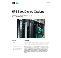 HPE NS204i-u v2 480GB NVMe Hot Plug Boot Optimized Storage Device