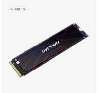 HIKSEMI SSD FUTURE 1024GB, M.2 2280, PCIe Gen4x4, R7450/W6600