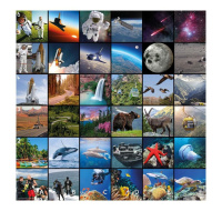 TT - Bee-Bot podložka Příběh