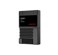 SanDisk Carrera Syndicate SSD 7.68TB DC, SN861, PCIe Gen5, (R:13700, W:8800MB/s), BICS6 TLC NVMe U.2, SE,Generic