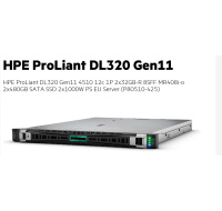 HPE PL DL320g11 4510 (2.4/12C) 2x32G (p64706) 2x480G (P40497) MR408i-o 8SFF 2x1000W 2x1Gb Smart Choice