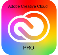 Adobe Creative Cloud Pro for teams MP ML (+CZ) Government 1 User, 12 Months, Level 4, 100+ Lic