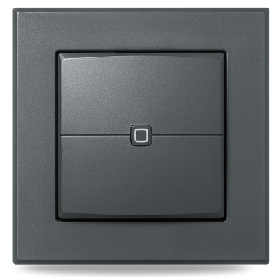 Homematic IP  Nástěnný dálkový ovladač - 2 tlačítka, antracit - HmIP-WRC2-A