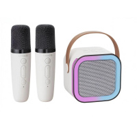 CARNEO Karaoke DJ mini