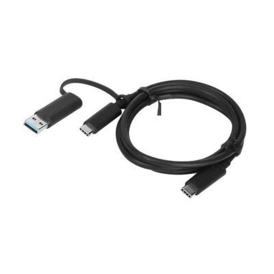 LENOVO kabel USB-C to 2x USB-C Cable 1m