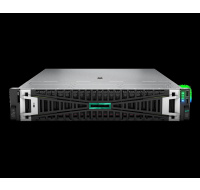 HPE PL DL345g11 AMD Epyc 9015 (3.6G/8C) 2x32G (P64985) 2x960G 2x1000W MR416i-p 8LFF 4p1G Smart Choice