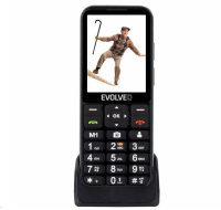 EVOLVEO EasyPhone LT, mobilní telefon pro seniory s nabíjecím stojánkem, černá