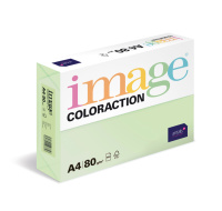 Antalis Papír Image Coloraction Jungle - pastelově světle zelená (GN27) A4 (80g/100ks)